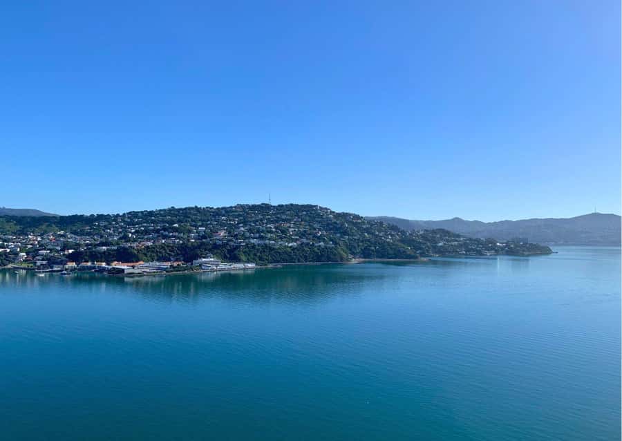 Wellington: Guided Sightseeing Tour by Electric Bike - The café stop and a slower middle of the tour