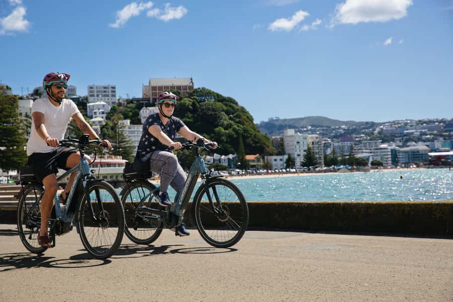 Wellington: Guided Sightseeing Tour by Electric Bike - Who should book this Wellington bike tour?