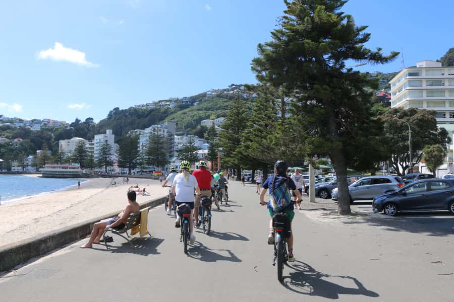 Wellington: Guided Sightseeing Tour by Electric Bike - My call: a strong first look at Wellington