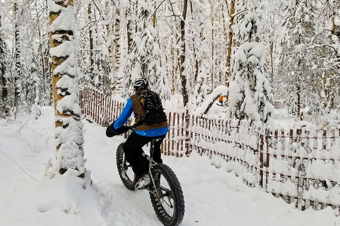 Winter Fat Biking Anchorage Tour - The small-group advantage