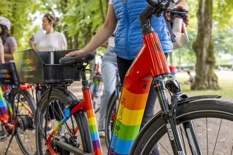 Zurich: E-Bike City Tour - Down through residential streets to the lake